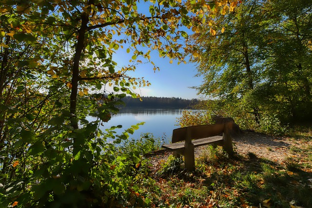 来自乌度卡 来自乌度卡