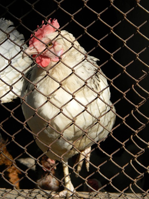 动生活的思 动生活的思