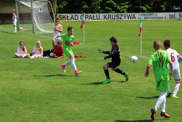 優秀的得分 優秀的得分