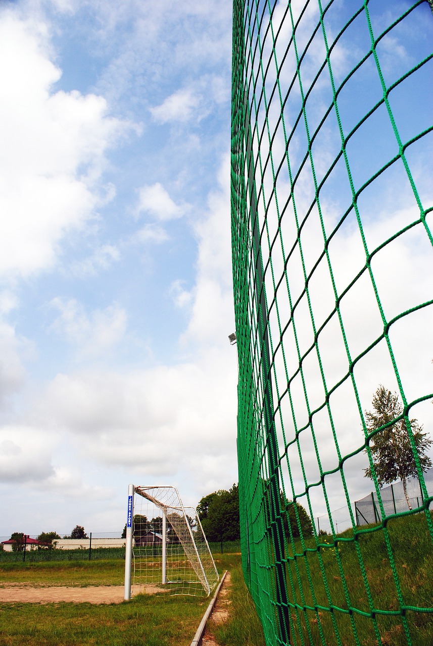 面对强劲的 面对强劲的